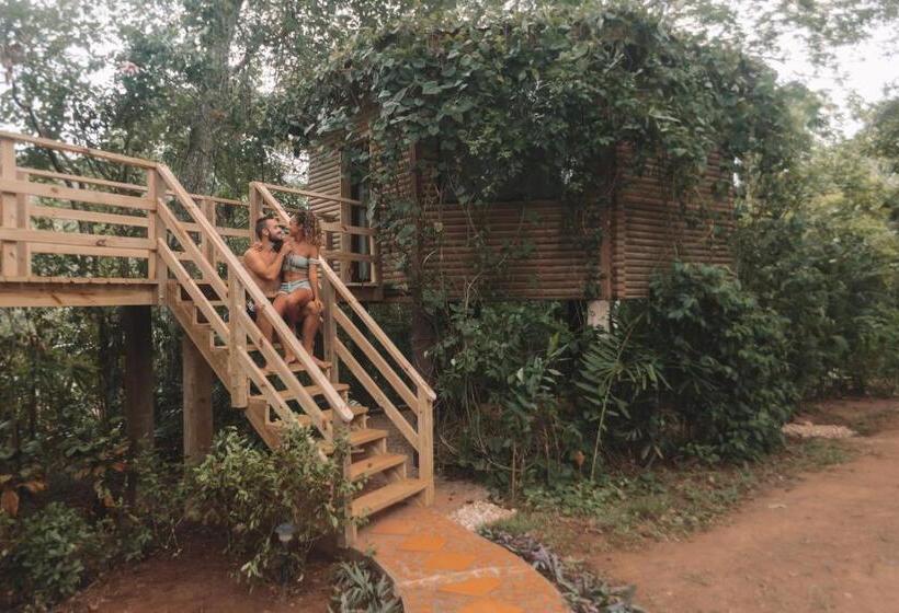 בקתה סופריור, Sweet Songs Jungle Lodge