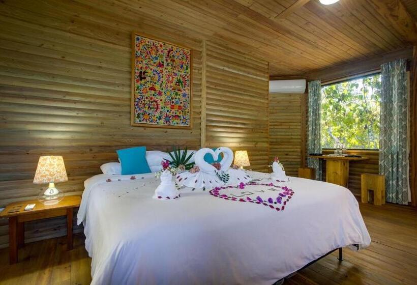 בקתה סופריור, Sweet Songs Jungle Lodge