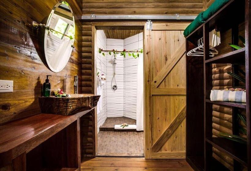 בקתה סופריור, Sweet Songs Jungle Lodge