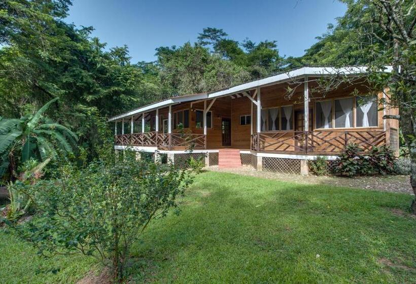 בית, חדר שינה 1, Sweet Songs Jungle Lodge