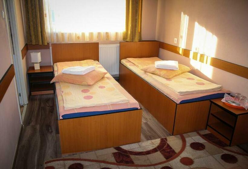 스탠다드 룸, Tranzit