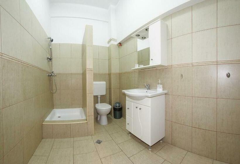 스탠다드 룸, Tranzit