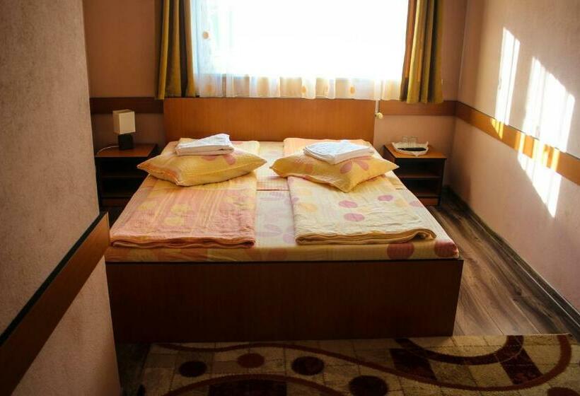 스탠다드 룸, Tranzit