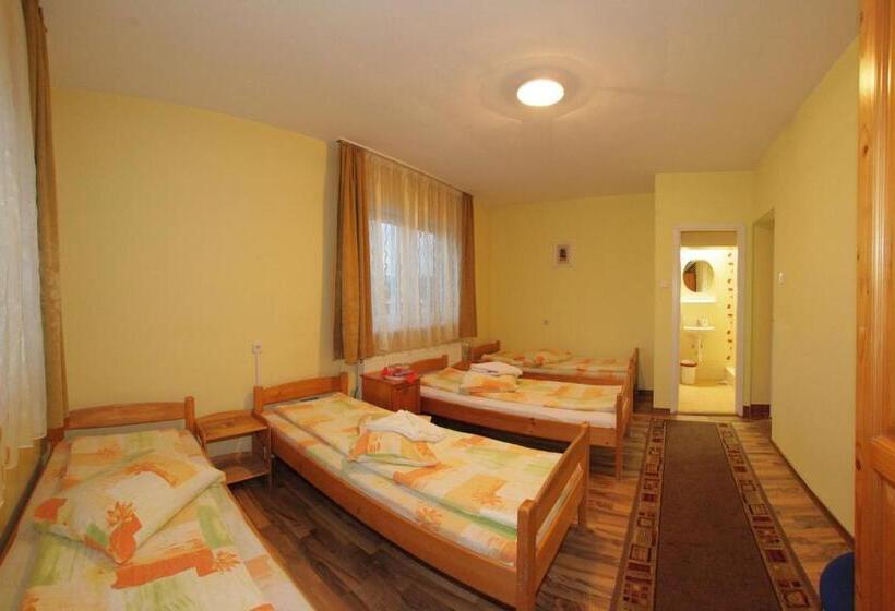 클래식 4인 룸, Tranzit