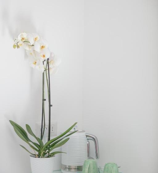 חדר סטנדרט, Aldarogi