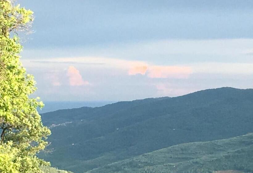 Номер Стандарт Совместная Ванная, Casa Rosalie