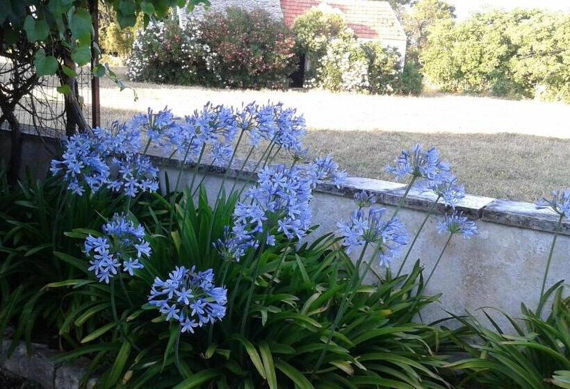 带1个卧室的豪华公寓, Masseria Murgia Albanese