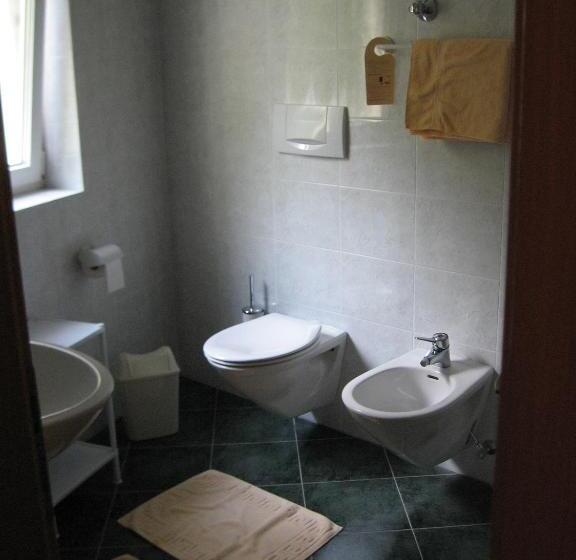 חדר סטנדרט יחיד עם מרפסת, Maximilian