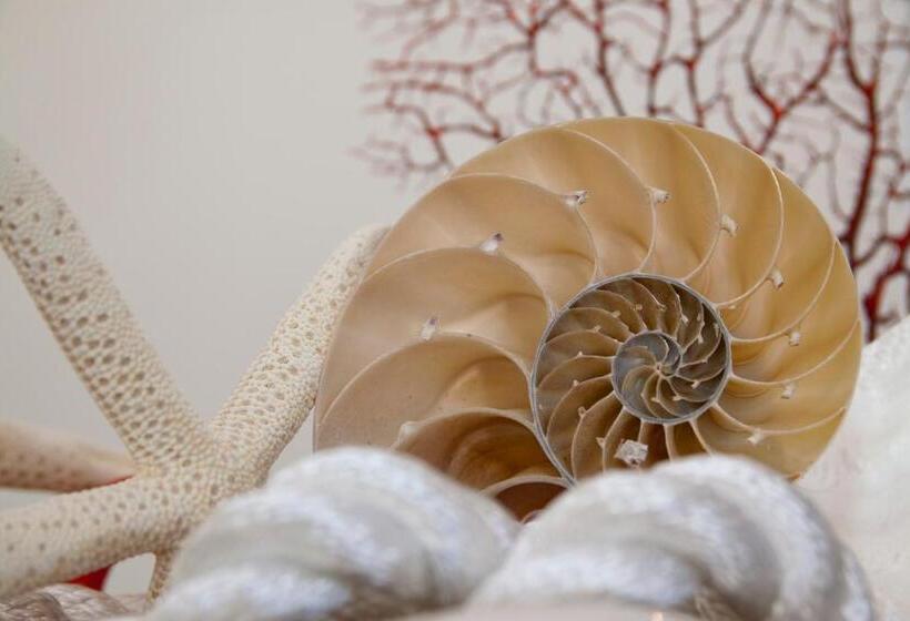 סוויטת ג'וניור עם מסג'ר מים, Nautilus