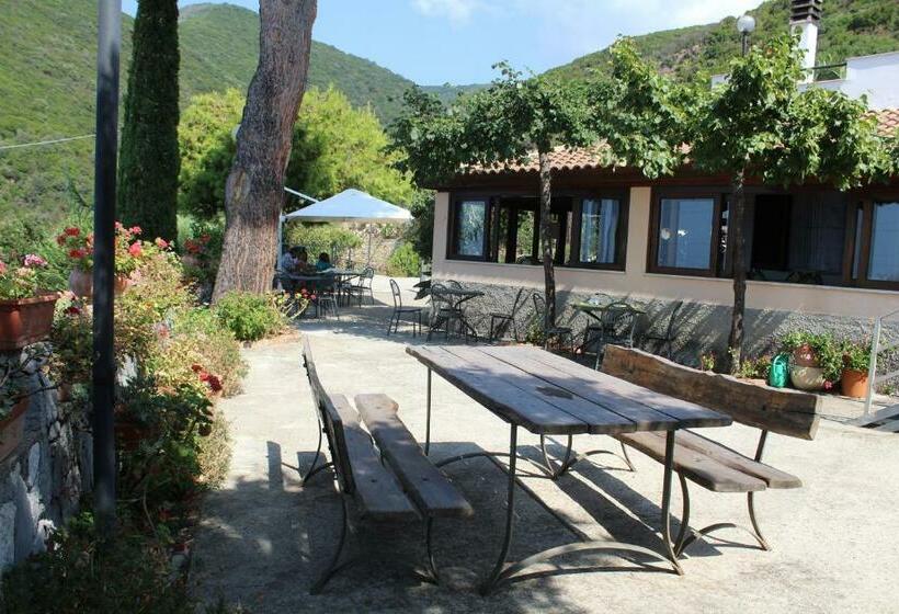 غرفة قياسية, Villa Incanto B&b