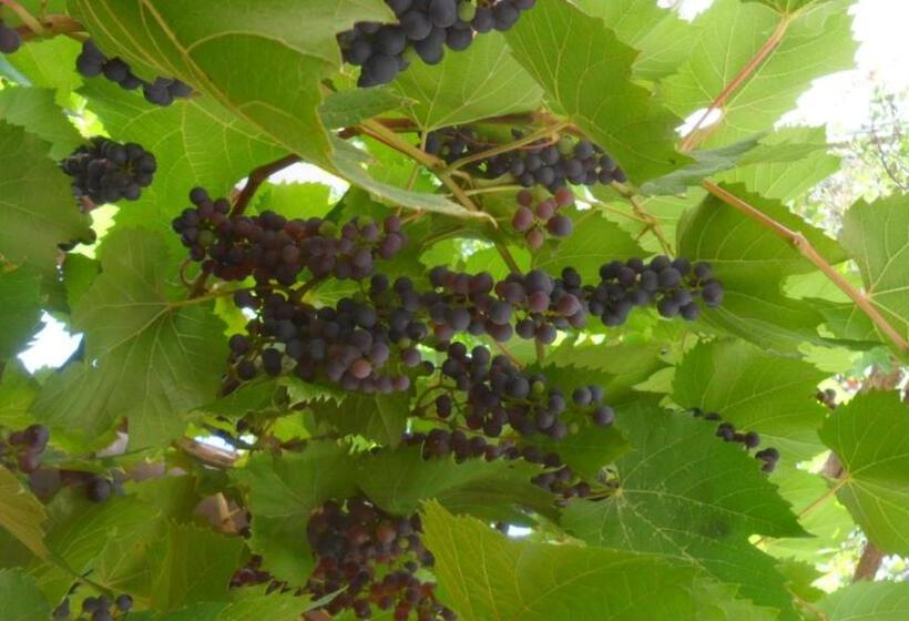 스탠다드 룸, B&b Sòl Fiorì