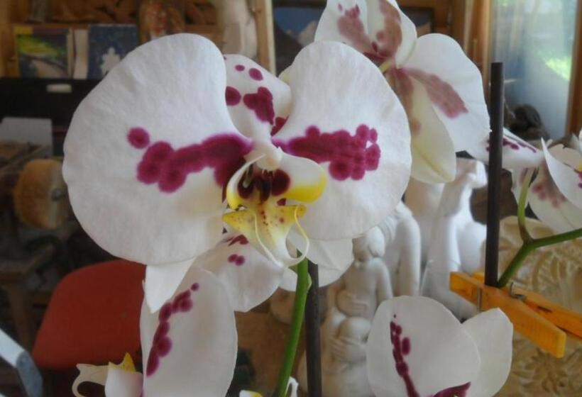 스탠다드 룸, B&b Sòl Fiorì