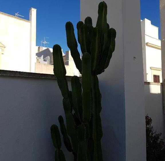 חדר סטנדרט עם טרסה, Corte Moline