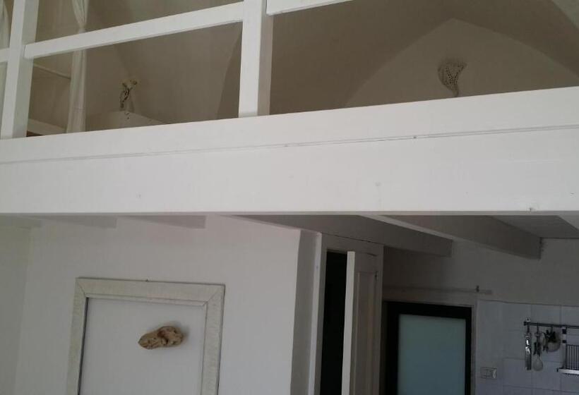 חדר סטודיו סטנדרד, Corte Moline