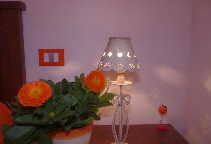 اتاق استاندارد, I Colori Di Mag