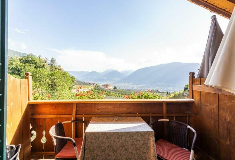 اتاق استاندارد, Moserhof