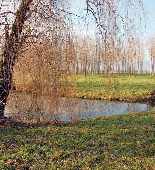 آپارتمان 1 خوابه, Il Broletto B&b