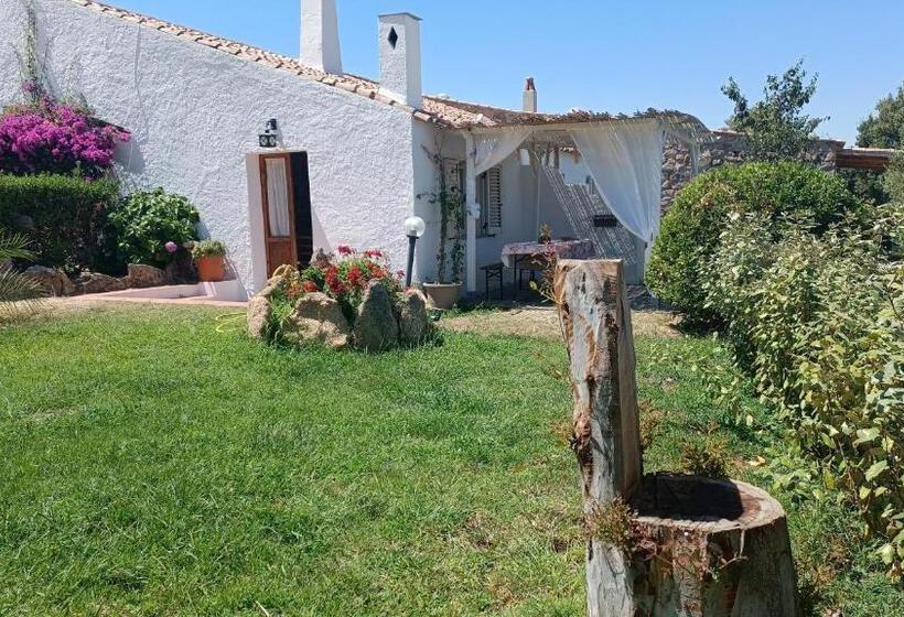 اتاق استاندارد, B&b Bedda Ista