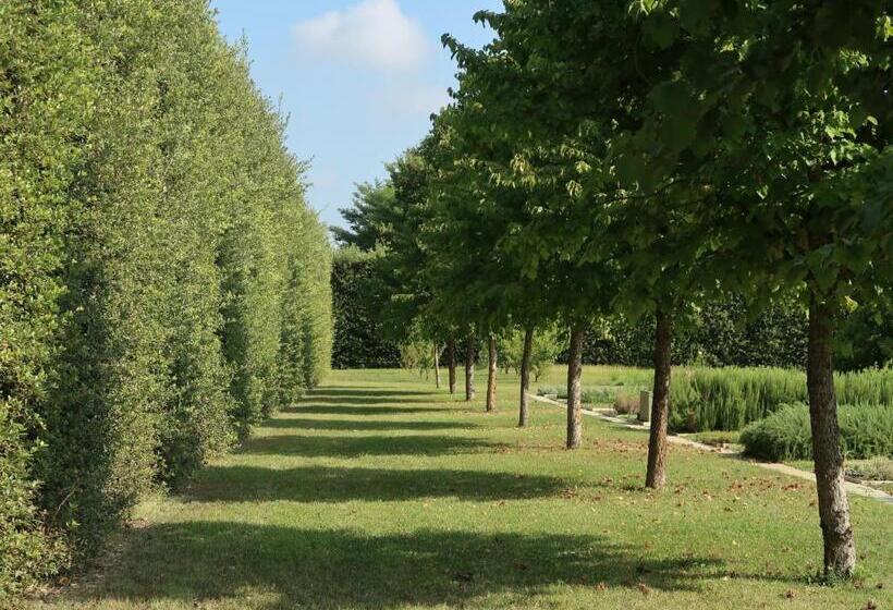 إستوديو سوبيريور, Sacramora