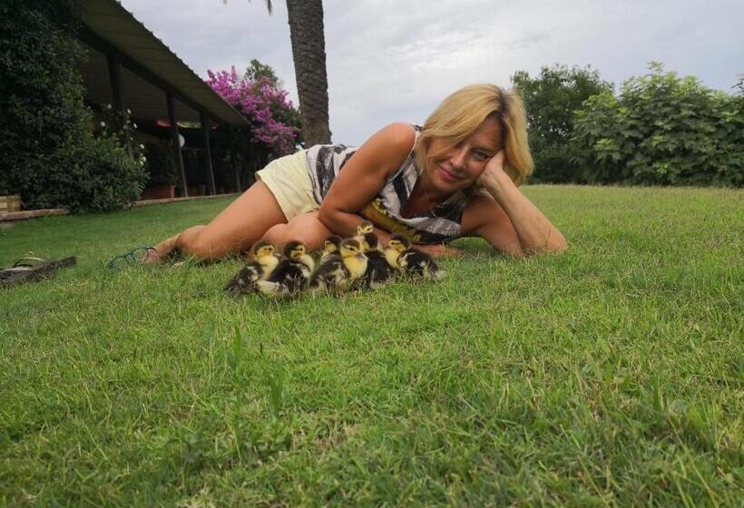 1间卧室的房子, Santa Igia Country House