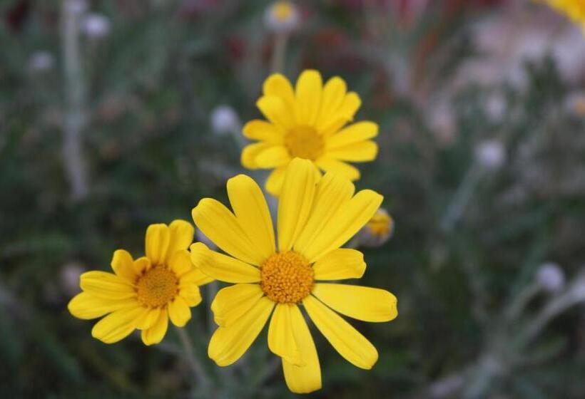 בקתת חדר, Bed & Breakfast Casa Lisetta