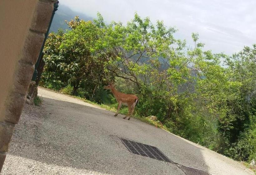 דירת חדר נוף לגינה, Bed & Breakfast Casa Lisetta