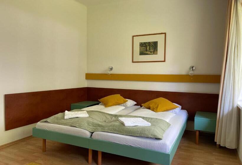 اتاق سوپریور, Hello Balcsi Apartmanház