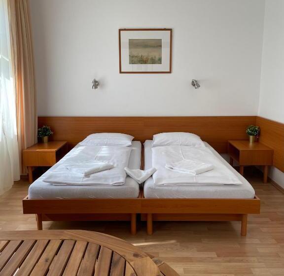 اتاق سوپریور چهار تخته, Hello Balcsi Apartmanház
