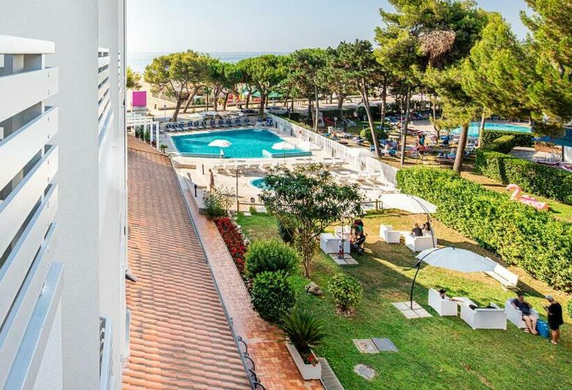 اتاق راحتی یک تخته, Bristol