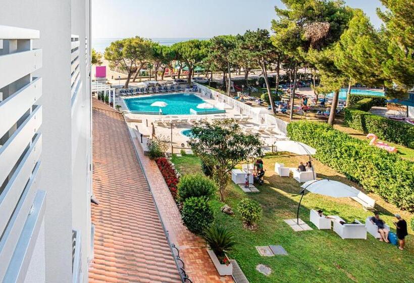 اتاق عادی یک تخته, Bristol