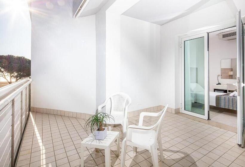 اتاق سوپریور یک تخته, Bristol