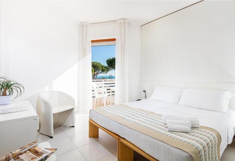 اتاق استاندارد, Bristol