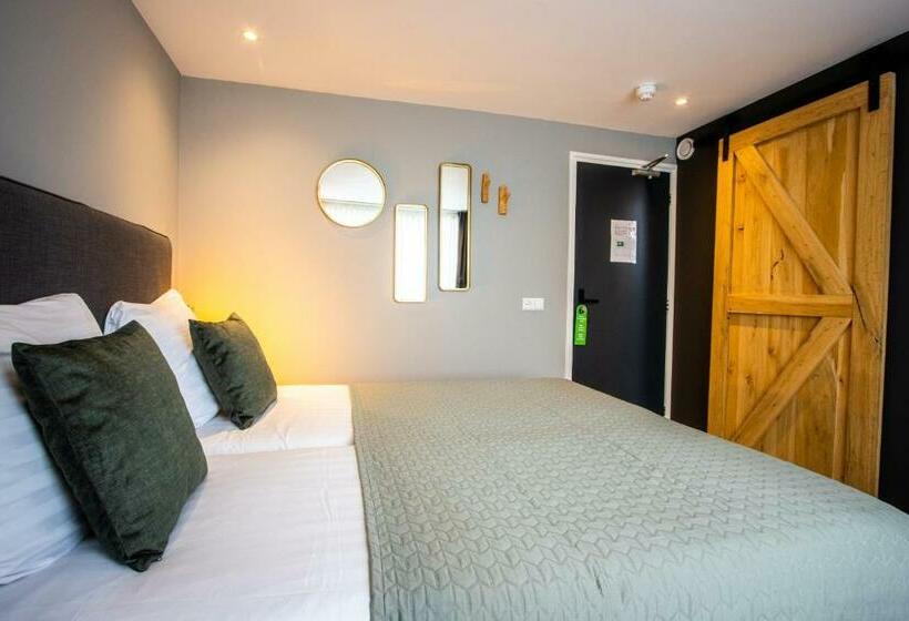 スタンダードルーム, Neptunus