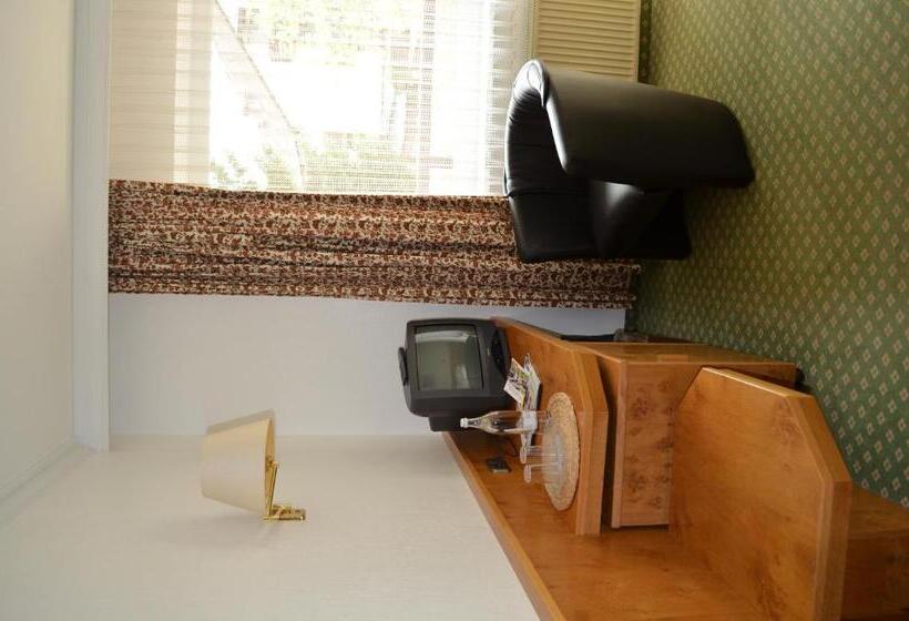 غرفة قياسية, Zum Goldenen Hirsch