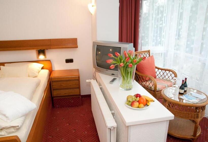 غرفة قياسية, Zum Goldenen Hirsch