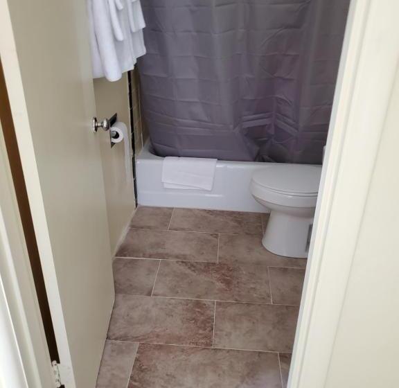 スタンダードルーム, Dollar Inn