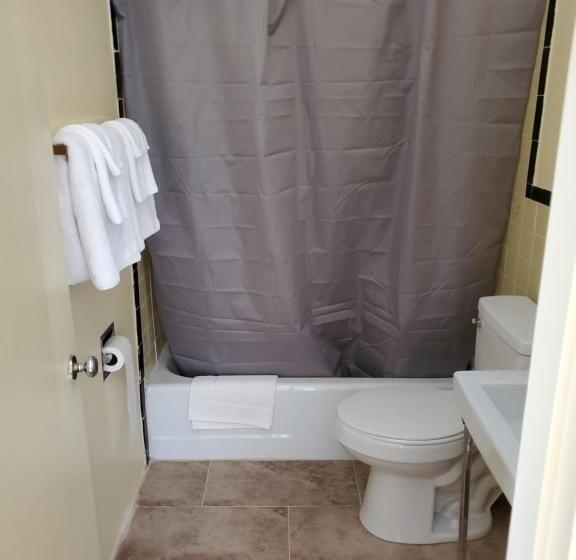 スタンダードルーム, Dollar Inn