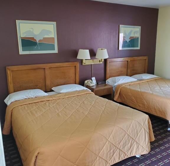 スタンダードルーム, Dollar Inn