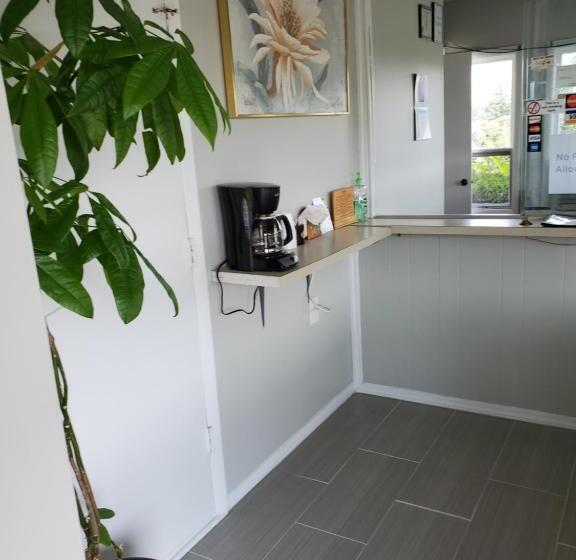 スタンダードルーム, Dollar Inn