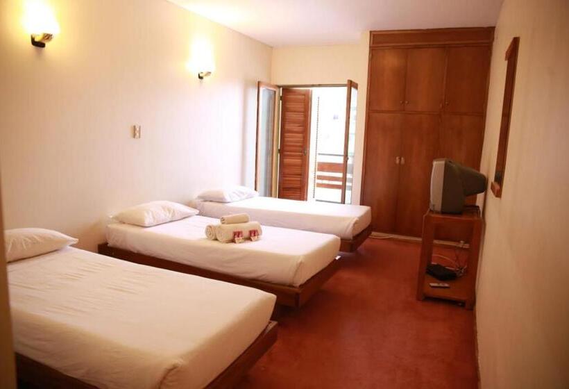 חדר סטנדרט לשלושה עם מרפסת, Ayelen   Hotel De Montaña