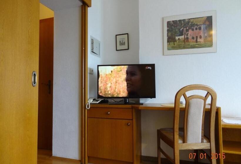 Standard studio with lake view, Pension Brönimann