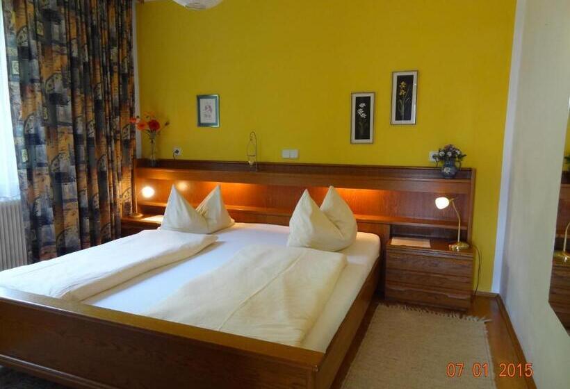 Standard studio with lake view, Pension Brönimann