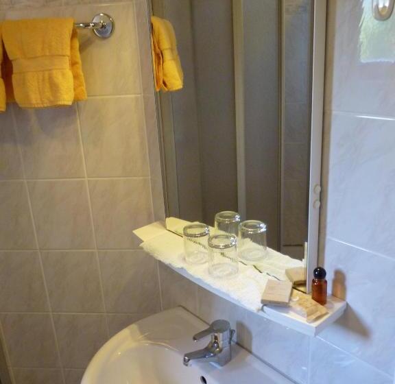 Standard studio with lake view, Pension Brönimann