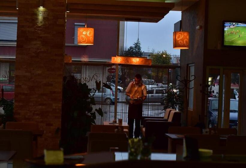 اتاق لوکس با تخت بزرگ, Business Hotel Prijedor