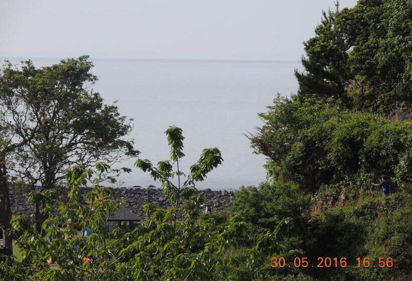 スタンダードルーム, Orchard House