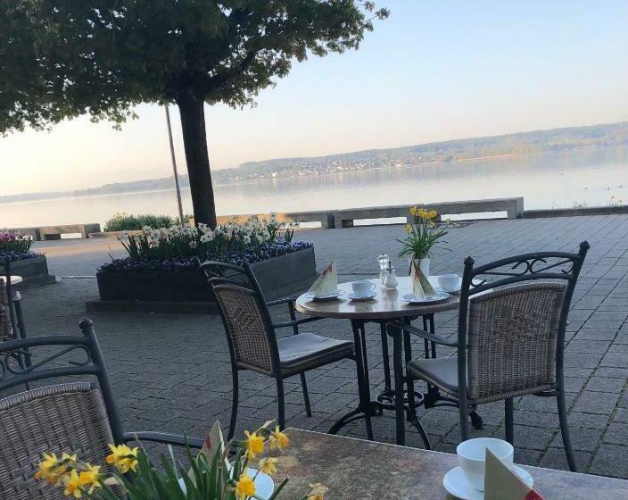 スタンダードシングルルーム, Seegarten