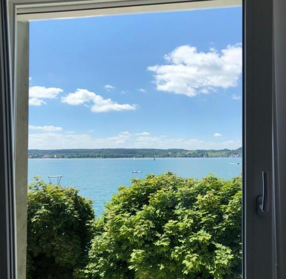 スタンダードシングルルーム, Seegarten