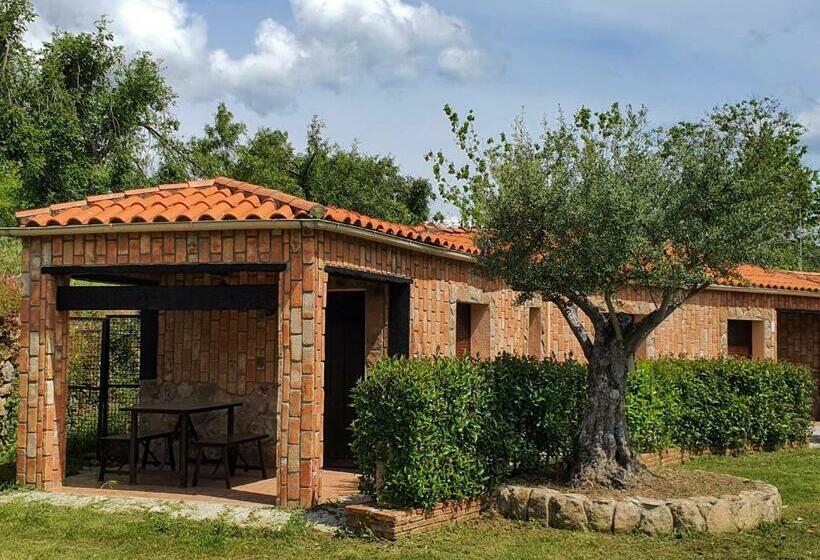 １ベッドルームハウス, Complejo Turístico Las Cañadas Casas De Campo  Actividades Gratuitas Todos Los Fines De Semana