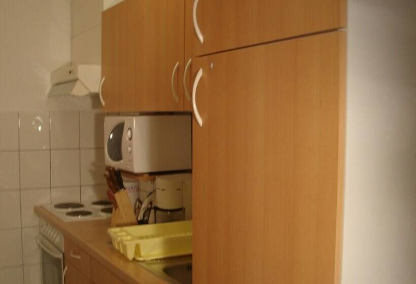 إستديو قياسى مزود بشرفة, Aparthotel Pecic