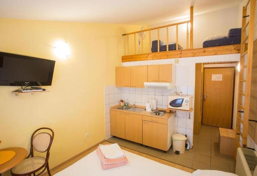 إستديو قياسى مزود بشرفة, Aparthotel Pecic